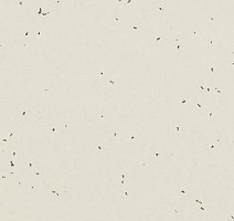 Линолеум Forbo Sphera Energetic 50222 lace фото 1 | FLOORDEALER